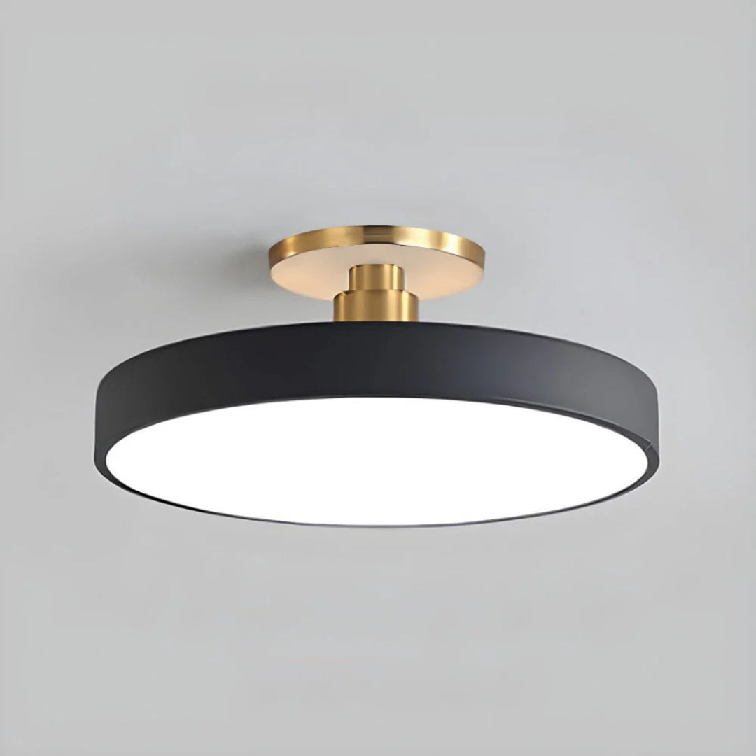 Modern Metal LED Ceiling Light