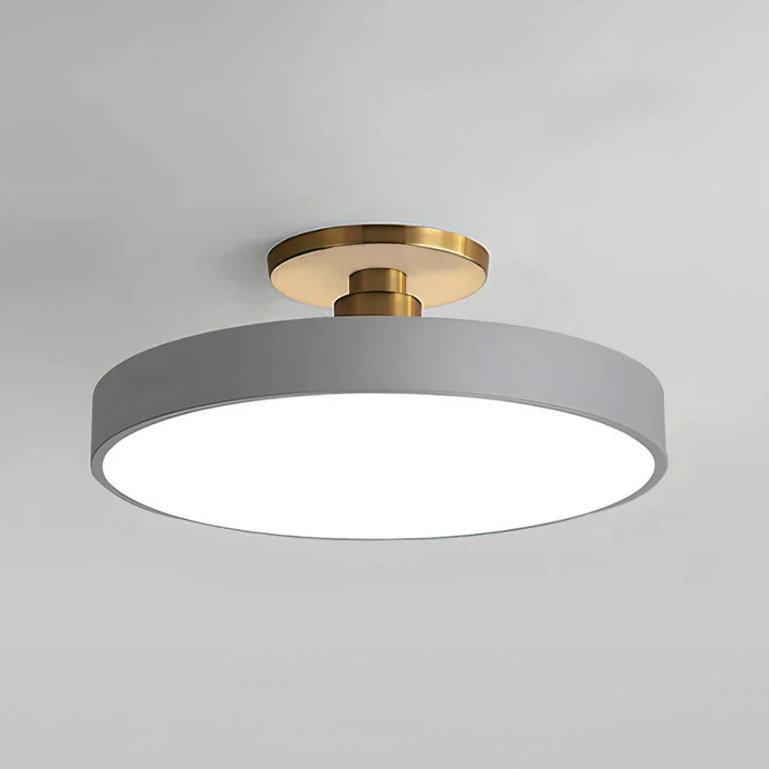 Modern Metal LED Ceiling Light