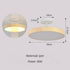 Contemporary Round Ceiling Light