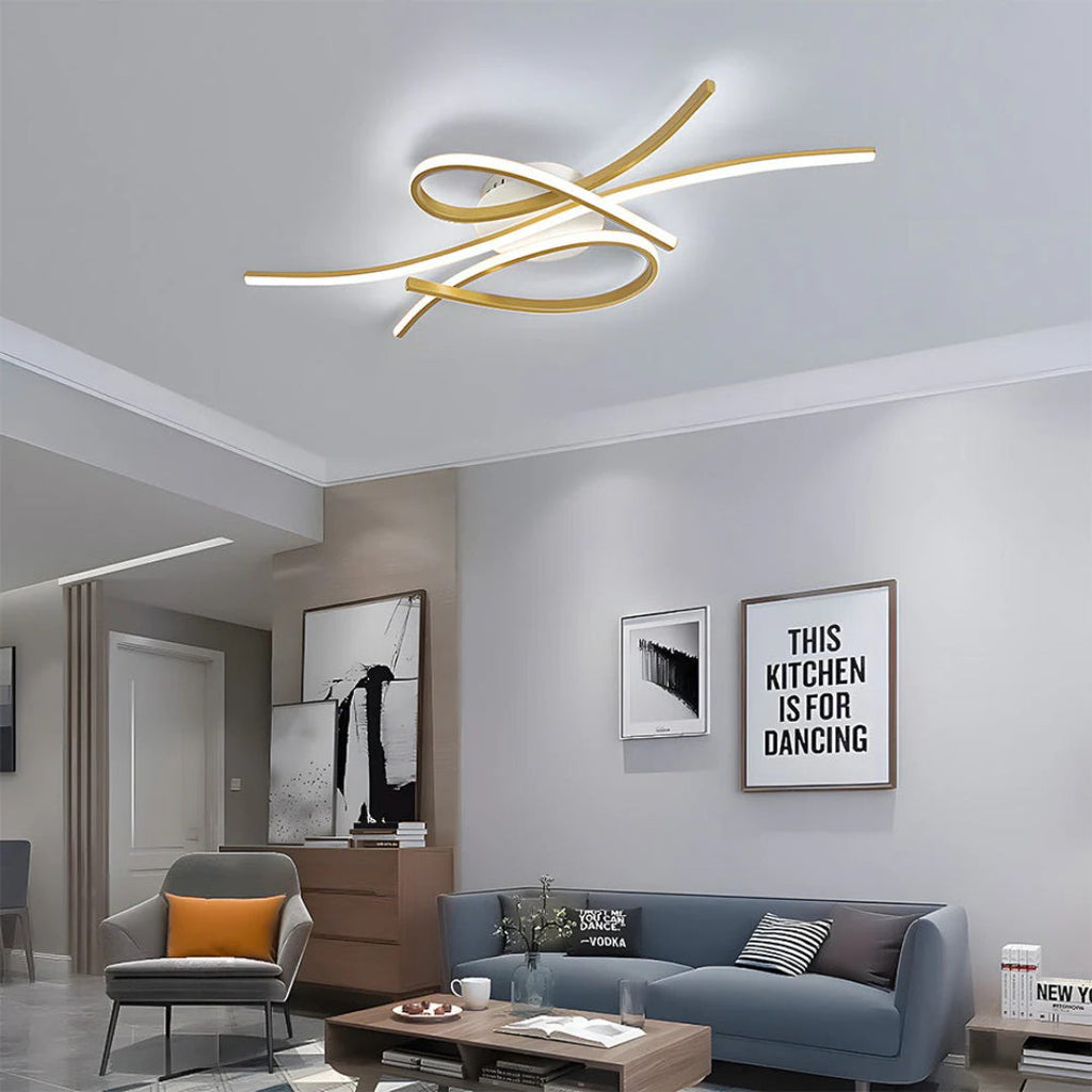 Contemporary LED Ceiling Light