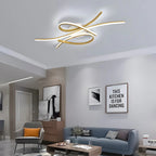 Contemporary LED Ceiling Light