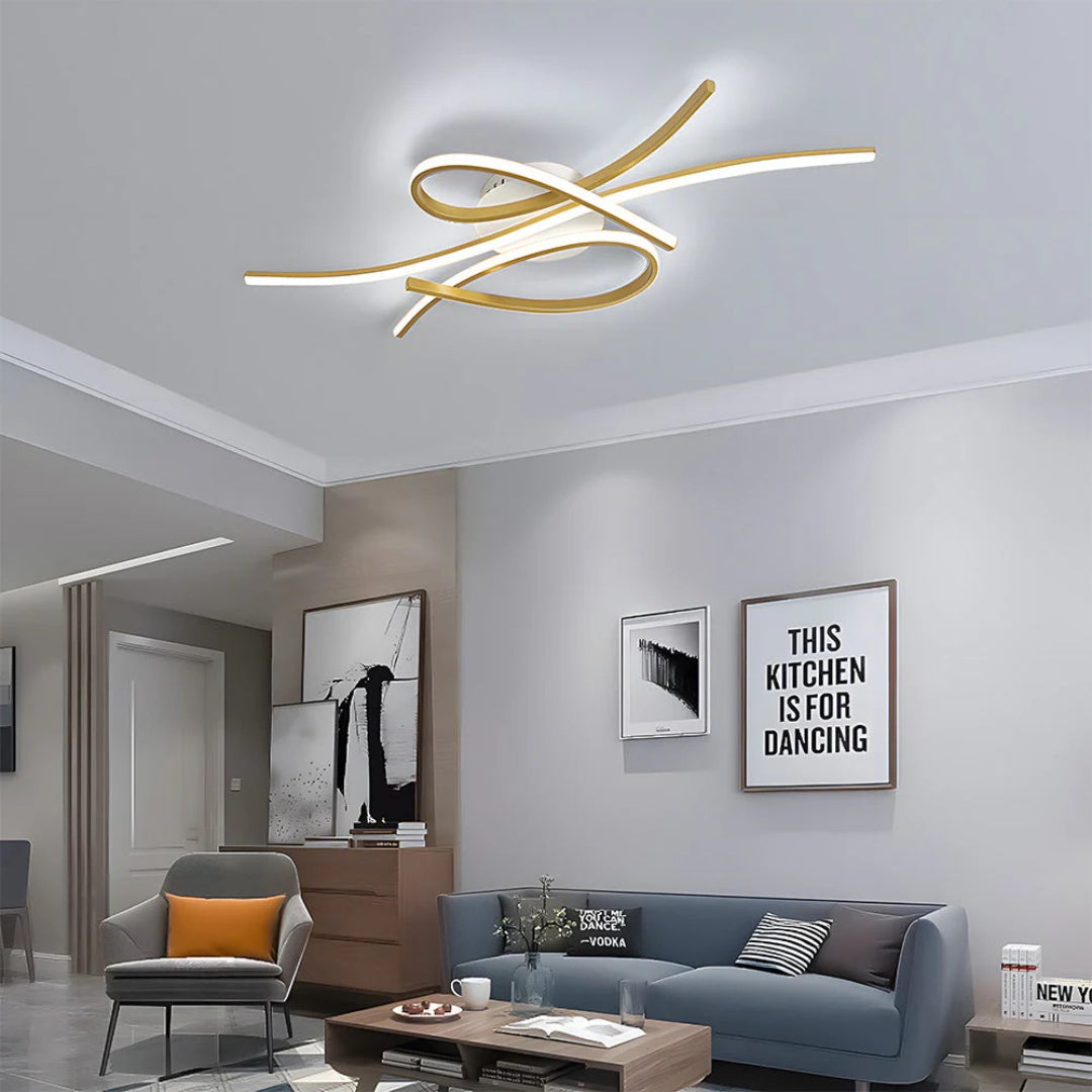 Contemporary LED Ceiling Light