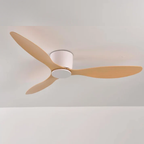 Modern Ceiling Fan with Remote Control