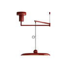Adjustable Metal Pendant Light