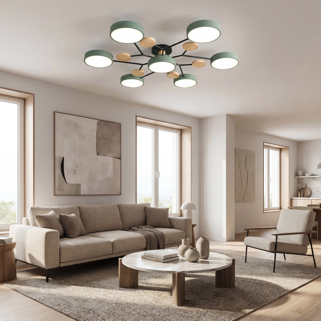 Modern Iron LED Ceiling Light