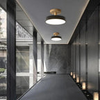 Green Ceiling Lamp – Modern Minimalist Design With Wood And Gold Accents