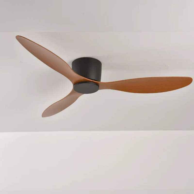 Modern Ceiling Fan with Remote Control
