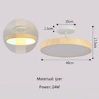 Contemporary Round Ceiling Light