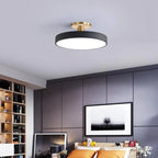 Modern Metal LED Ceiling Light