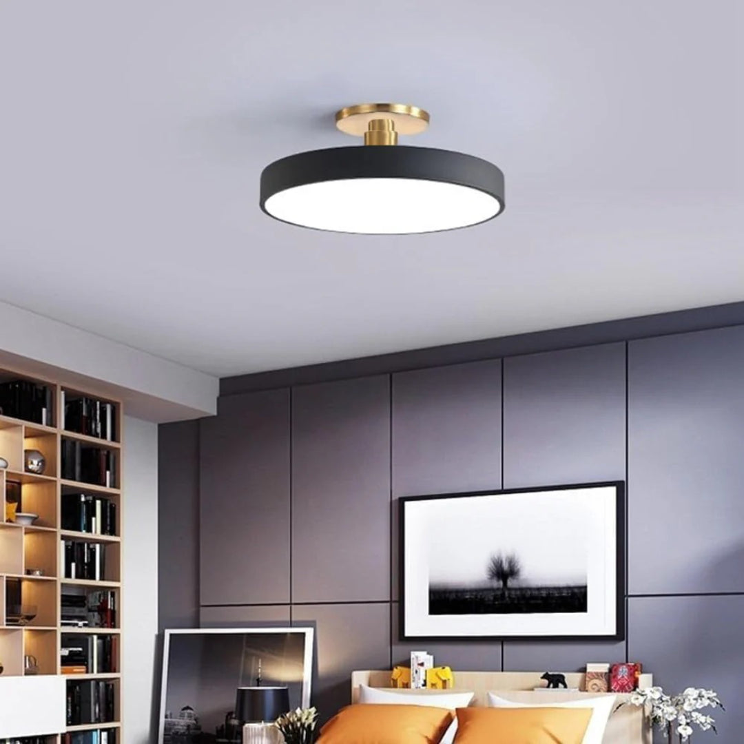 Modern Metal LED Ceiling Light