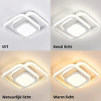 Contemporary Double Ring Ceiling Light