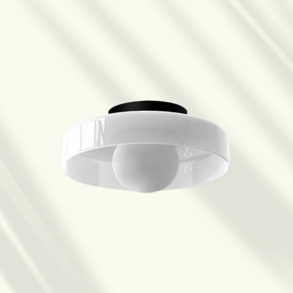 Modern LED Ceiling Lamp