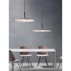 Modern Metal Pendant Light