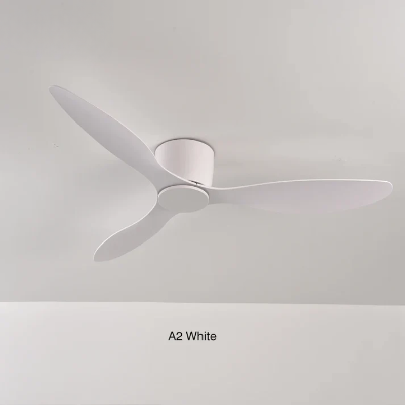 Modern Ceiling Fan with Remote Control