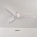 Modern Ceiling Fan with Remote Control