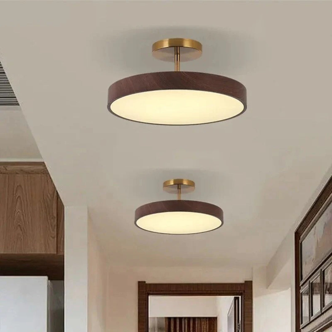 Contemporary Round Ceiling Light
