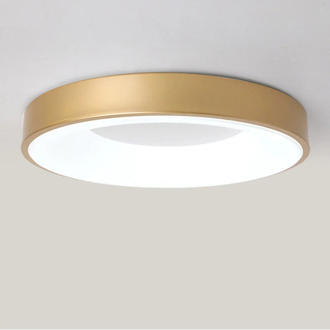 Minimalist Round Acrylic Ceiling Light