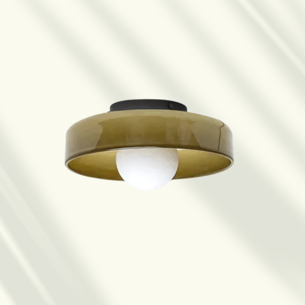 Modern LED Ceiling Lamp