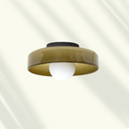 Modern LED Ceiling Lamp