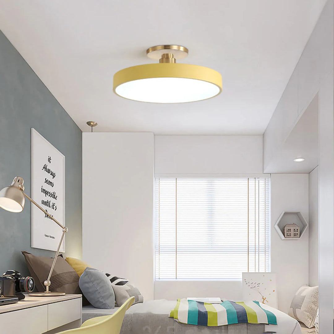 Modern Metal LED Ceiling Light