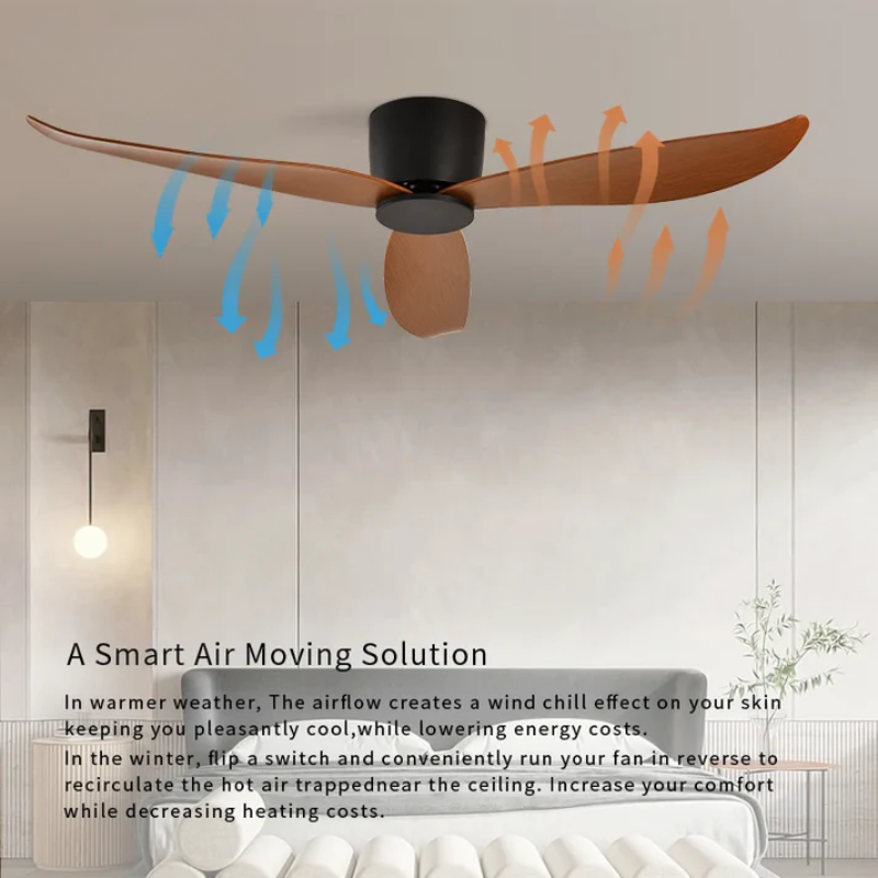 Modern Ceiling Fan with Remote Control