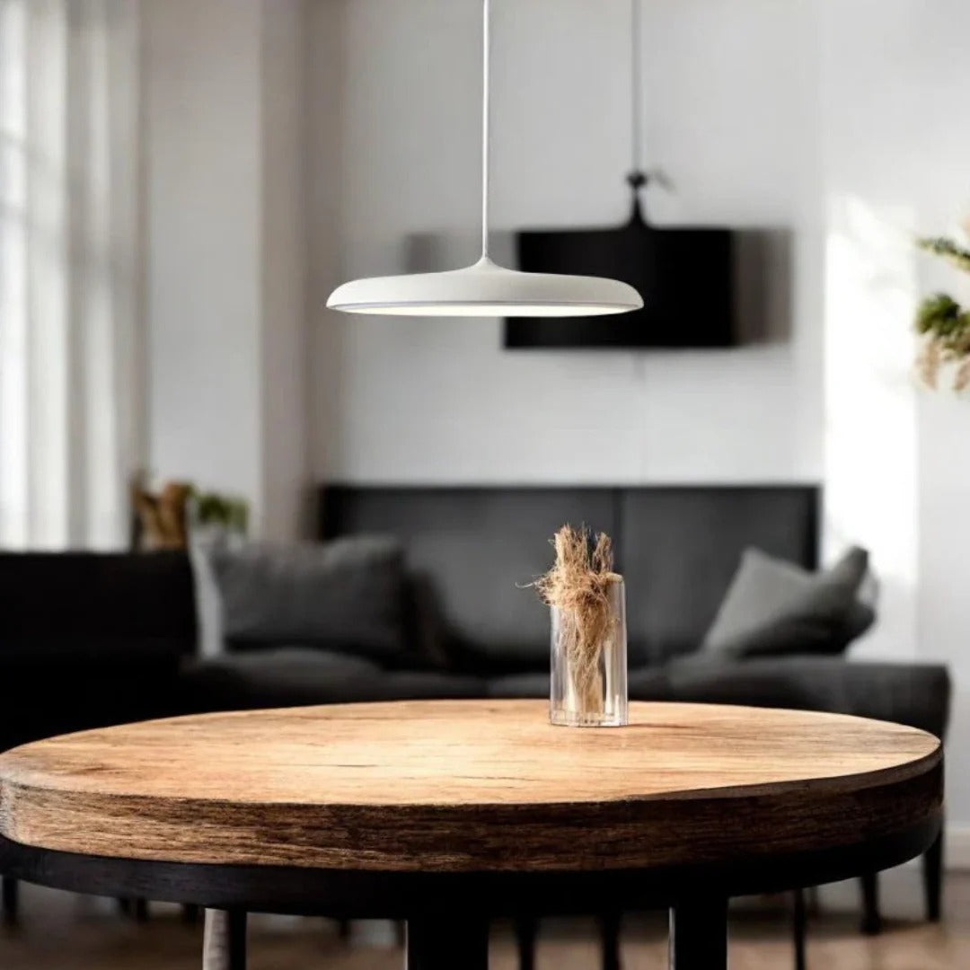 Minimalist Round Metal Pendant Light
