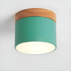 Nordic Wood Accent Ceiling Light Minimalist LED Flush Mount Lamp
