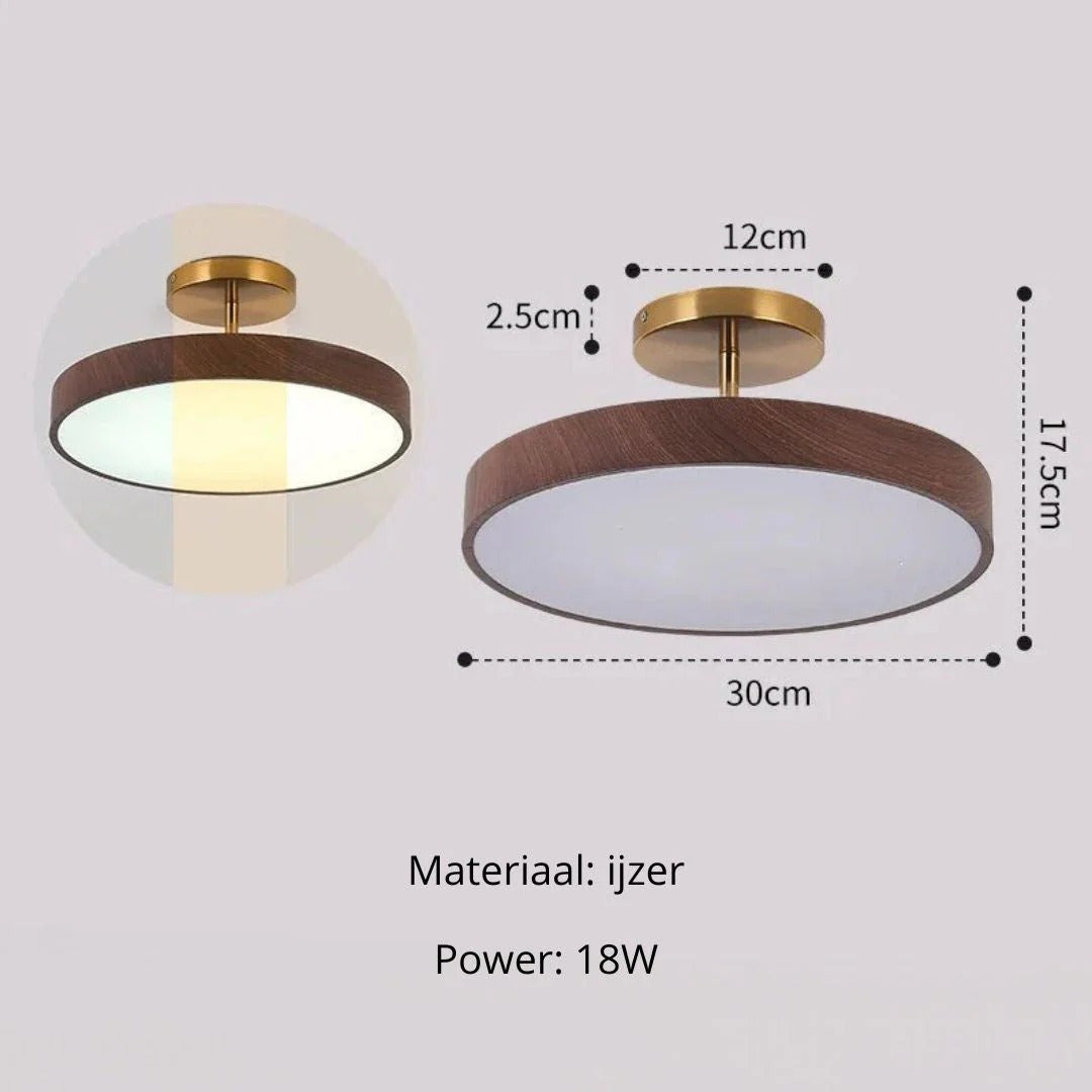 Contemporary Round Ceiling Light