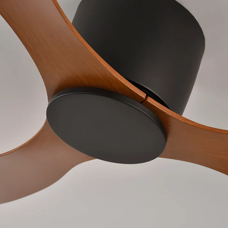 Modern Ceiling Fan with Remote Control