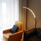Minimalist Arc Floor Lamp Modern LED Standing Light