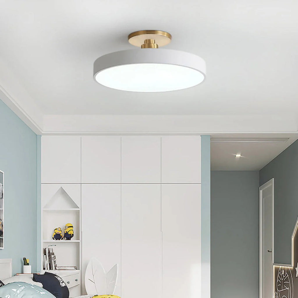 Modern Metal LED Ceiling Light