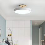 Modern Metal LED Ceiling Light