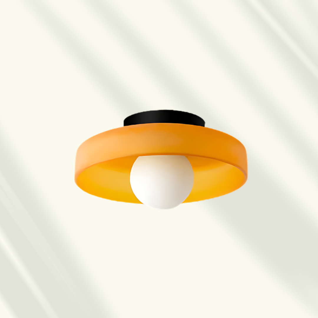 Modern LED Ceiling Lamp