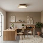 Minimalist Ceiling Lamp – Natural Finish Warm Interior Accent Design