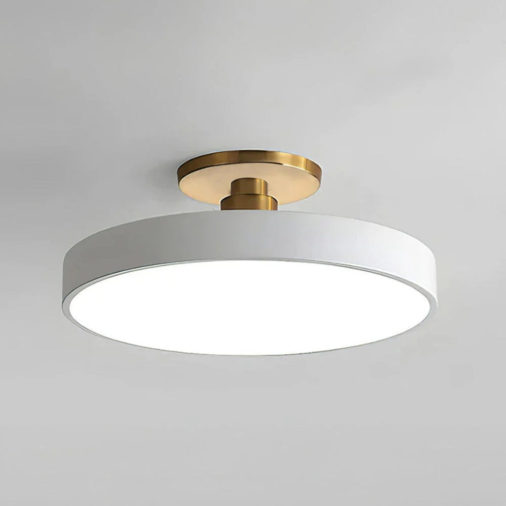 Modern Metal LED Ceiling Light