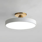 Modern Metal LED Ceiling Light