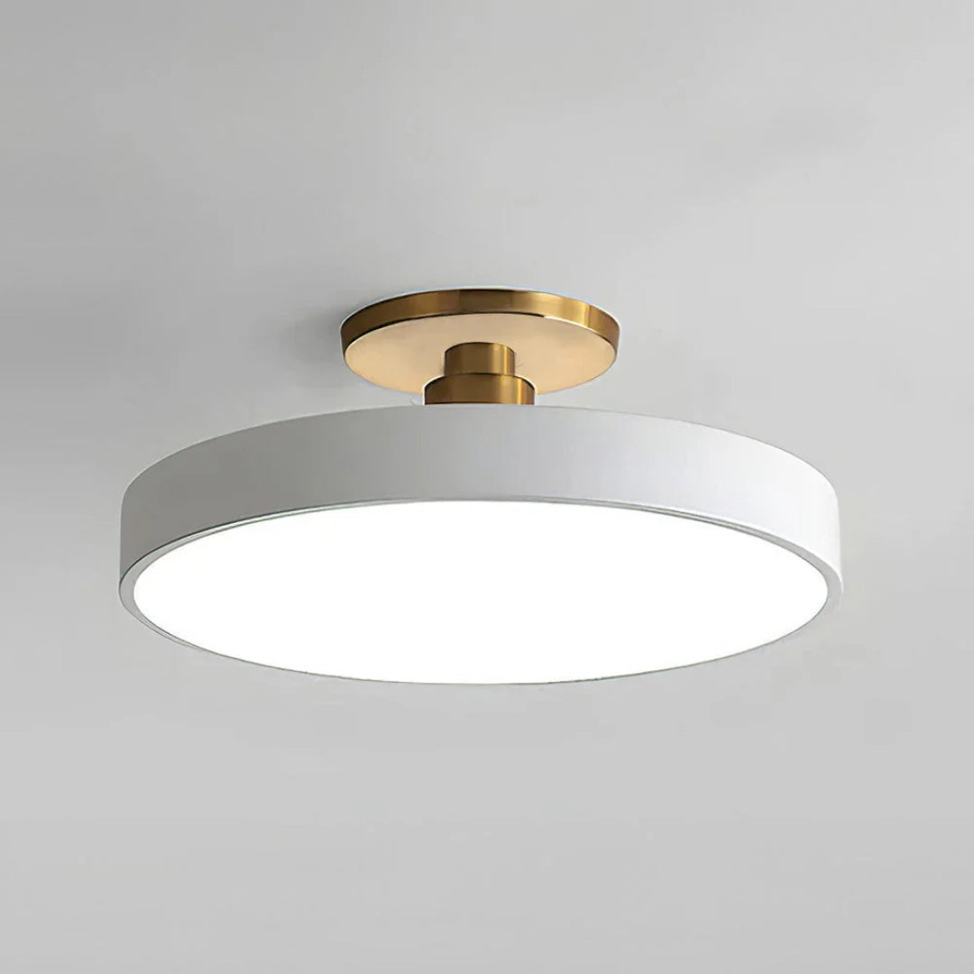 Modern Metal LED Ceiling Light