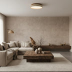 Minimalist Ceiling Lamp – Natural Finish Warm Interior Accent Design