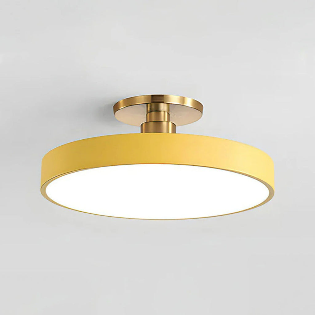 Modern Metal LED Ceiling Light