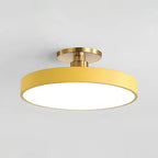 Modern Metal LED Ceiling Light