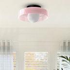 Modern LED Ceiling Lamp