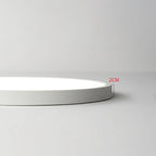 Minimalist Round LED Ceiling Light