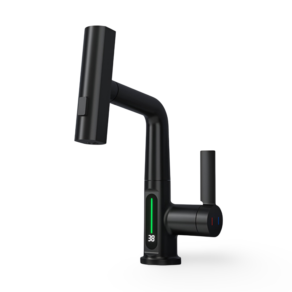 Adjustable Kitchen Faucet with Temperature Display