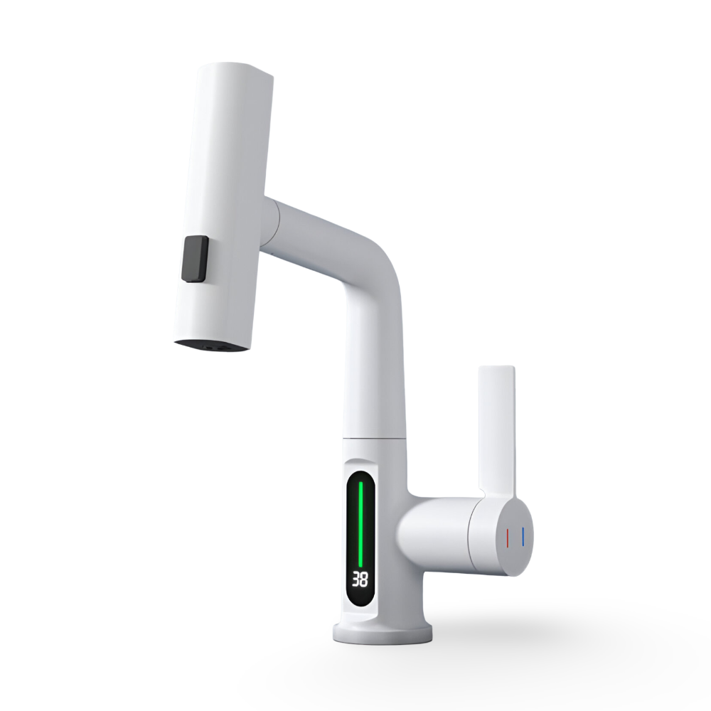 Adjustable Kitchen Faucet with Temperature Display