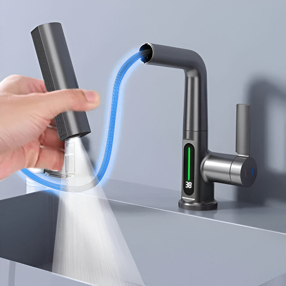 Adjustable Kitchen Faucet with Temperature Display