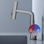 Adjustable Kitchen Faucet with Temperature Display