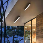 Minimalist LED Ceiling Light