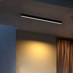 Minimalist LED Ceiling Light