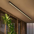 Minimalist LED Ceiling Light