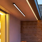Minimalist LED Ceiling Light